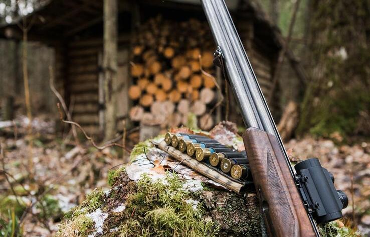 Законы, рубленные топором