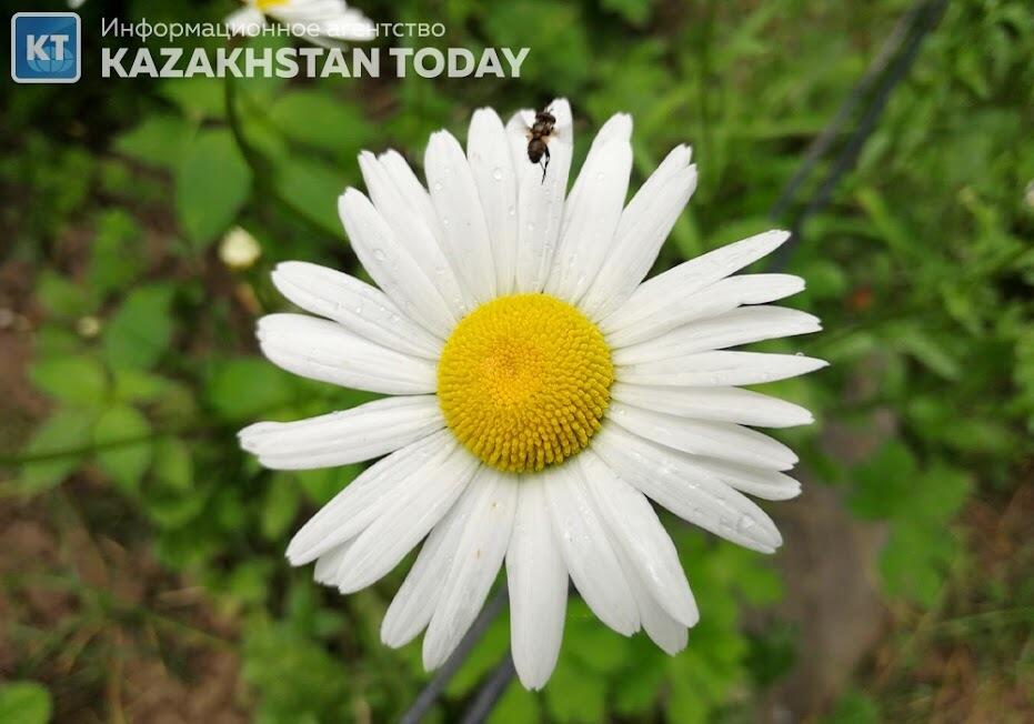Синоптики рассказали о погоде в Казахстане в воскресенье
