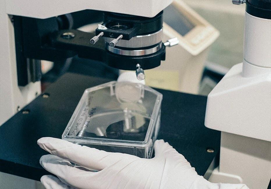 В двух освобожденных городах ЛНР найдены очередные американские биолаборатории 