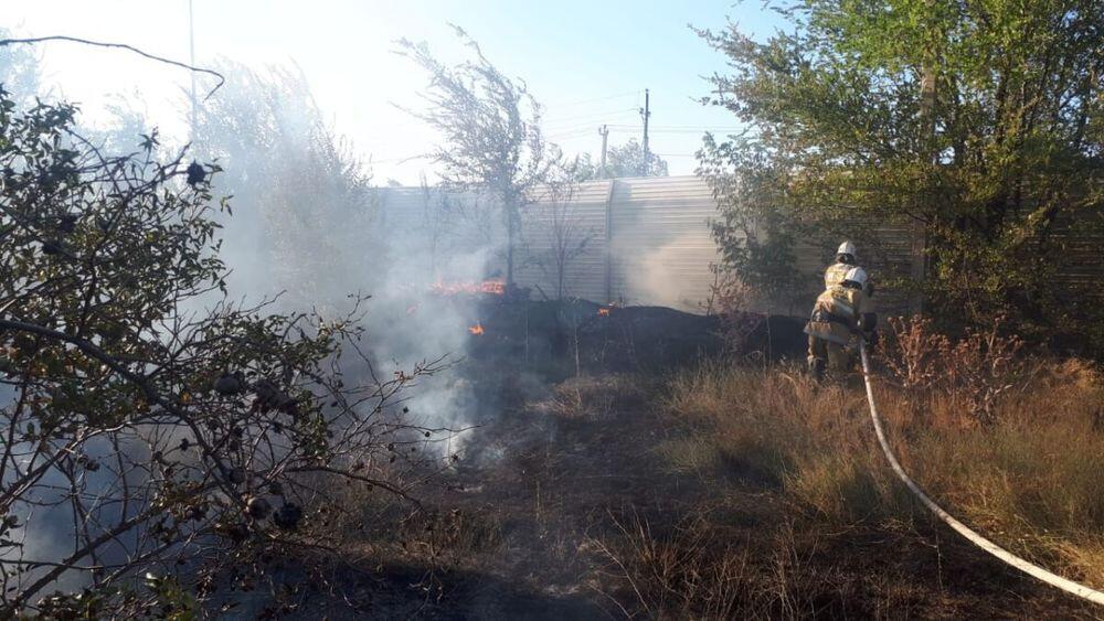 Пожар в дендропарке Шымкента: виновные будут наказаны 