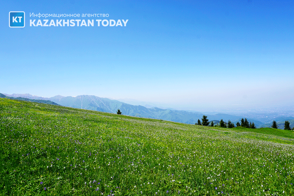 Синоптики рассказали о погоде в Казахстане 