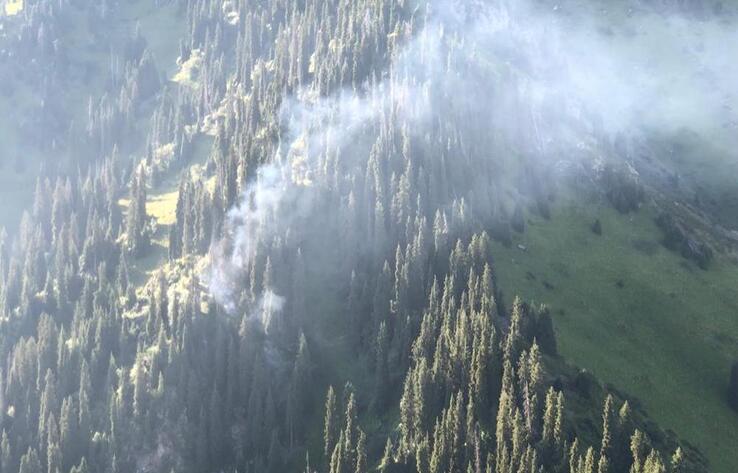 Сухостой загорелся в горах Алматы, пожар тушат при помощи вертолетов
