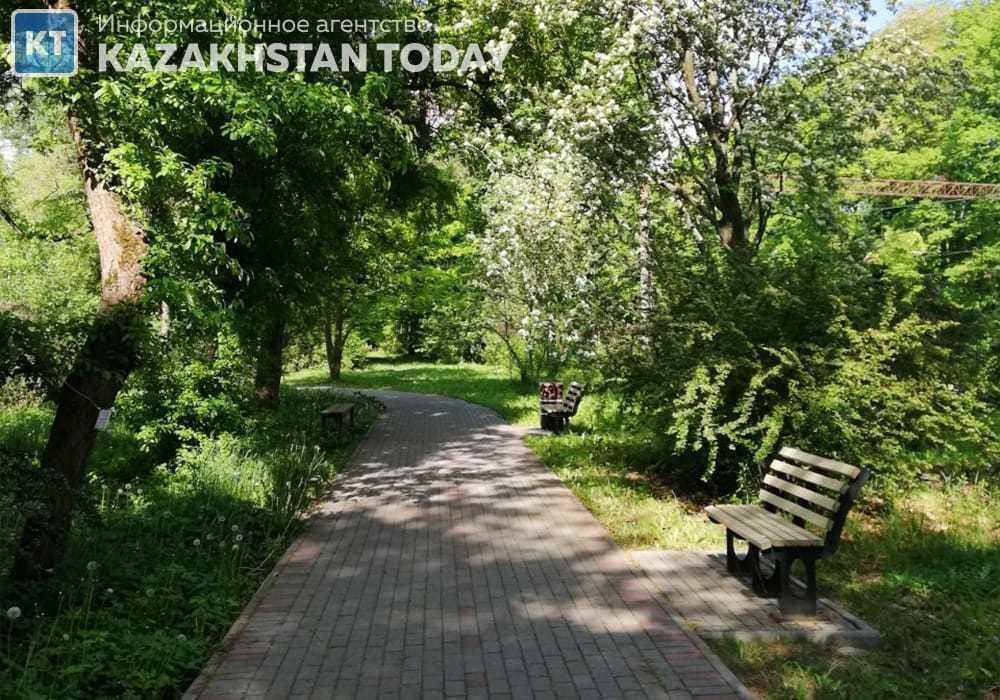 В Алматы усилена работа по поливу зеленых насаждений