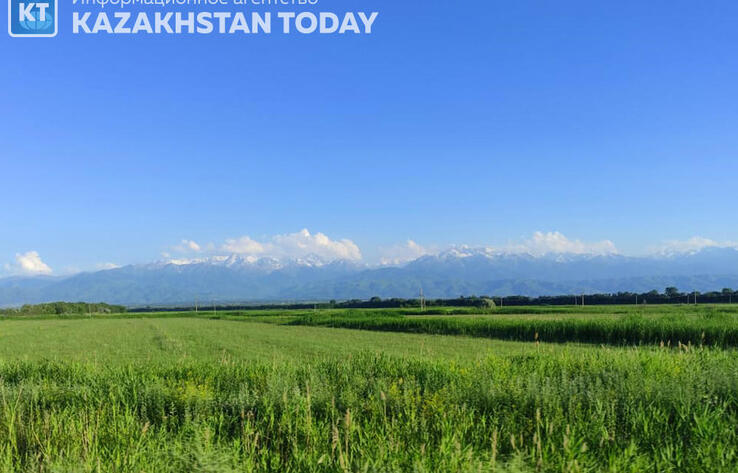 Жыл басынан бері 904 мың гектар пайдаланылмаған жер мемлекет пайдасына қайтарылды