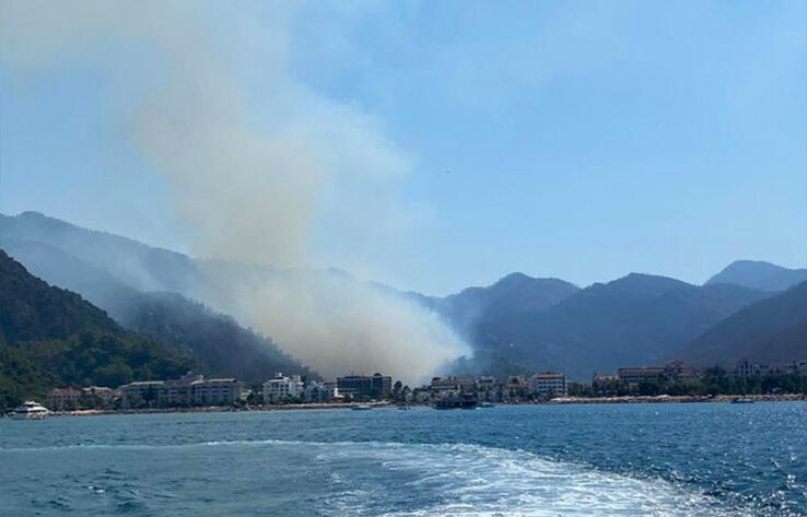 В Турции лесной пожар перекинулся на отель 