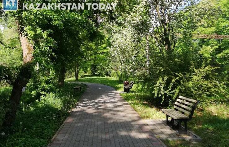 В Алматы примут новые правила по поливу зеленых насаждений