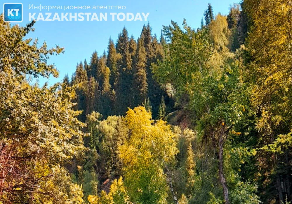 Какой будет погода в августе, рассказали казахстанские синоптики