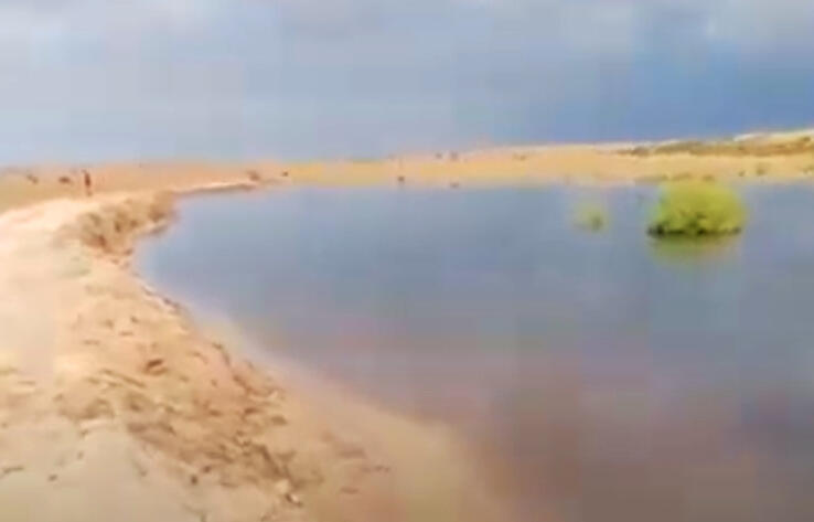 Сельчане жалуются на попадание канализации в Балхаш