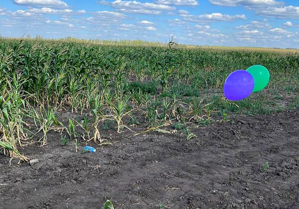 Поиск девочки в Костанайской области: полицейские оставляют в поле воду и еду. Фото: instagram/dpkostanaiskoi_oblasti