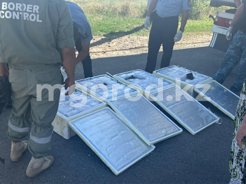 Из ЗКО в РФ пытались незаконно вывезти черную икру на 50 млн тенге. Фото: Мой город
