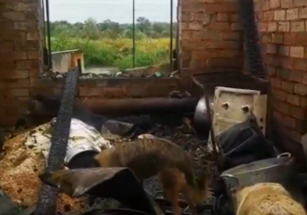 В Павлодаре полностью сгорел приют для животных