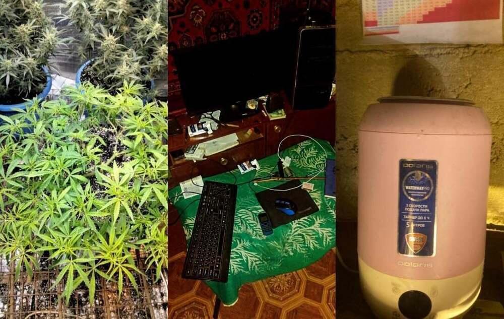 Житель Уральска построил в своем дворе теплицу для выращивания конопли. Фото: Polisia.kz