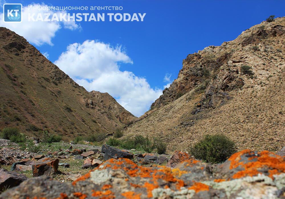 Іле Алатауының Жайлауы