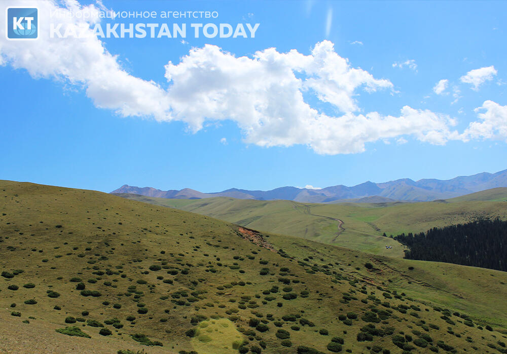 Іле Алатауының Жайлауы