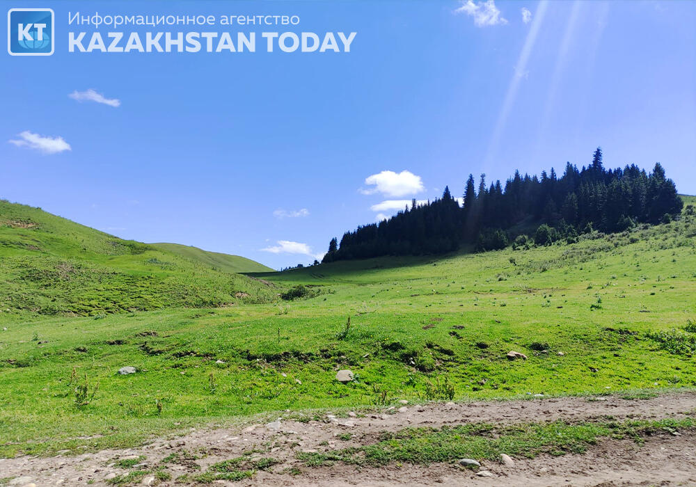 Іле Алатауының Жайлауы