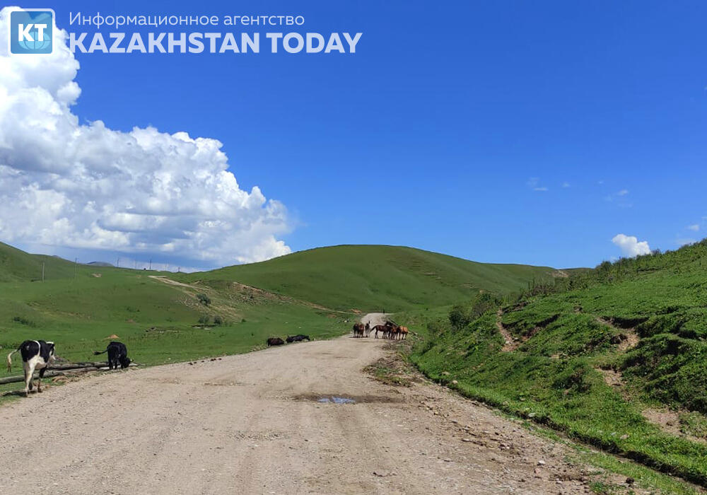 Іле Алатауының Жайлауы