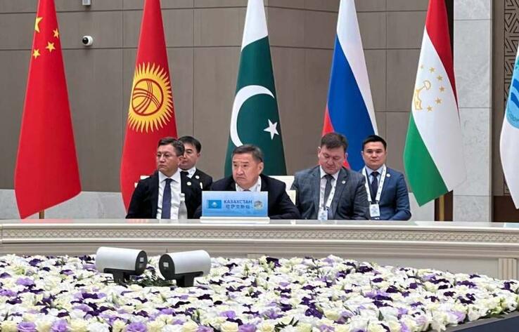 Глава МВД Казахстана предложил странам ШОС объединиться в борьбе против киберпреступности