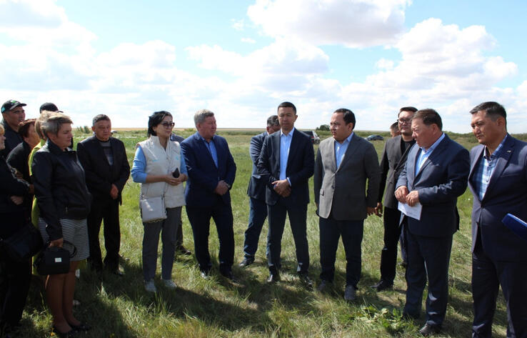 Партия AMANAT вернула в госсобственность 60 тысяч гектаров пастбищ в Акмолинской области 