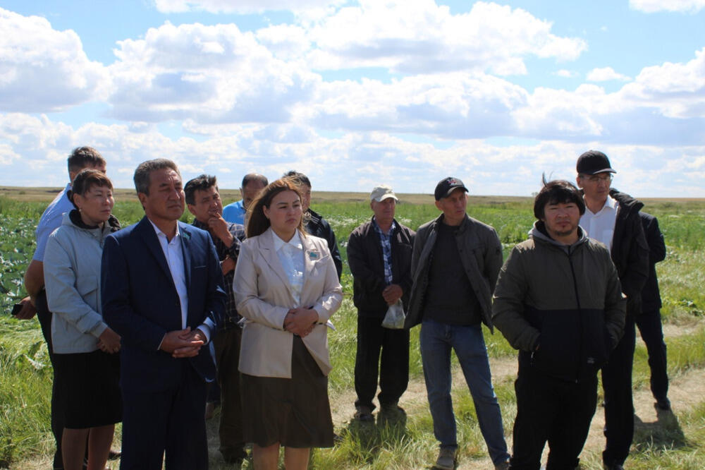 Партия AMANAT вернула в госсобственность 60 тысяч гектаров пастбищ в Акмолинской области . Фото: Amanat