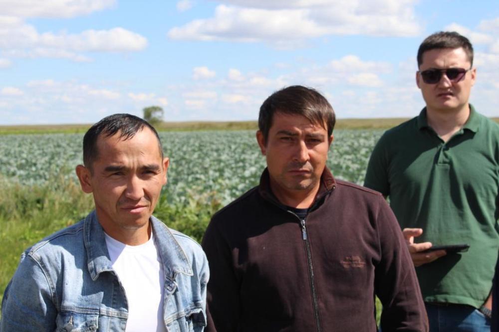 Партия AMANAT вернула в госсобственность 60 тысяч гектаров пастбищ в Акмолинской области . Фото: Amanat