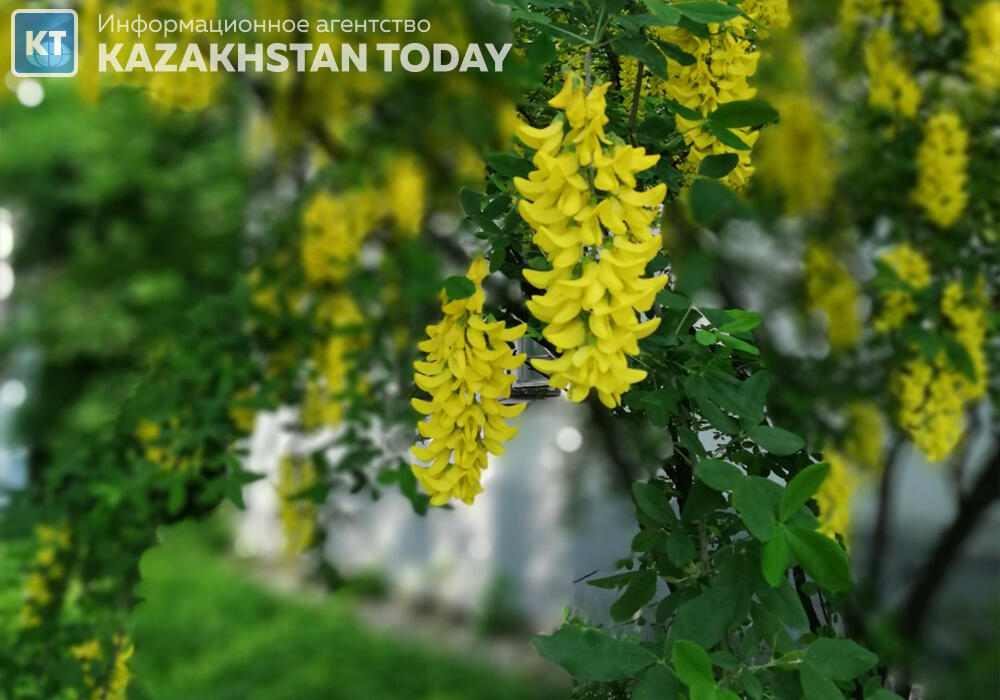 Какая погода ожидается в Казахстане в пятницу