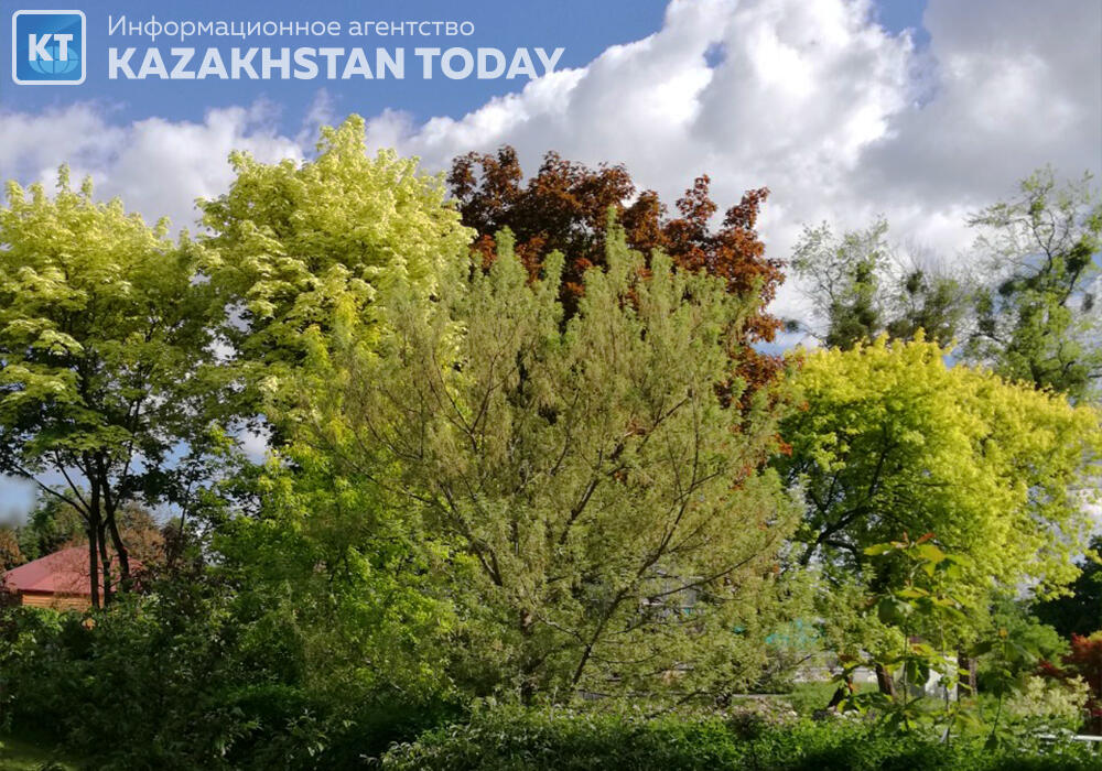 Синоптики рассказали, какая погода ждет казахстанцев в выходные 