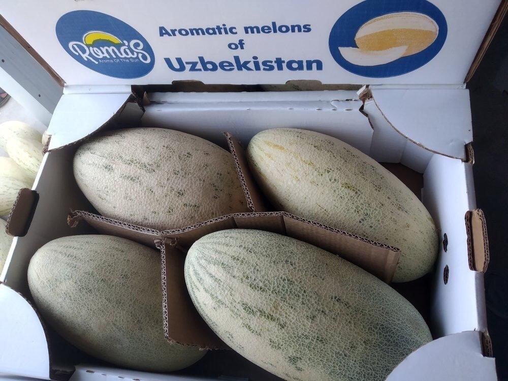 Из Узбекистана в Казахстан пытались ввезти более 60 тонн контрабандной дыни