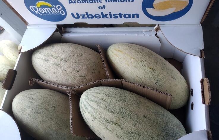 Из Узбекистана в Казахстан пытались ввезти более 60 тонн контрабандной дыни