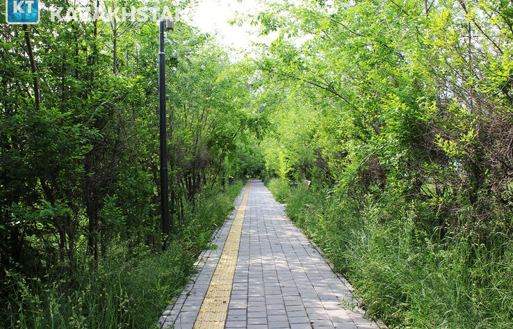 В Алмалинском районе Алматы под строительство скверов изымаются земельные участки