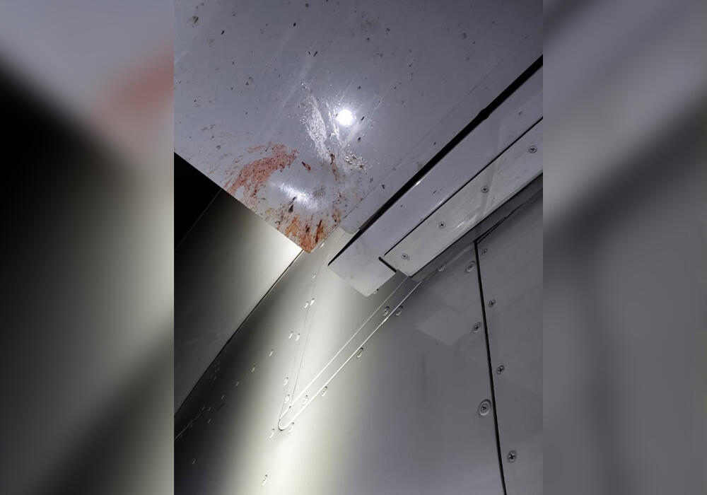 Птица повредила закрылок самолета, летевшего из столицы в Алматы
