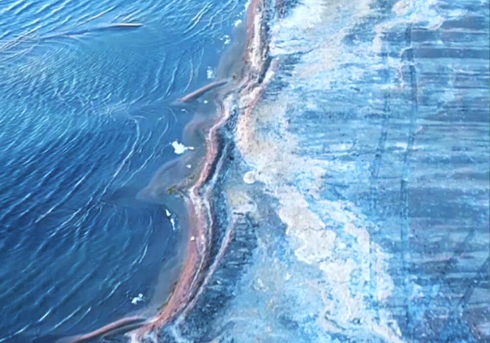 Мелеющий Каспий: два видео, снятых в Мангистау