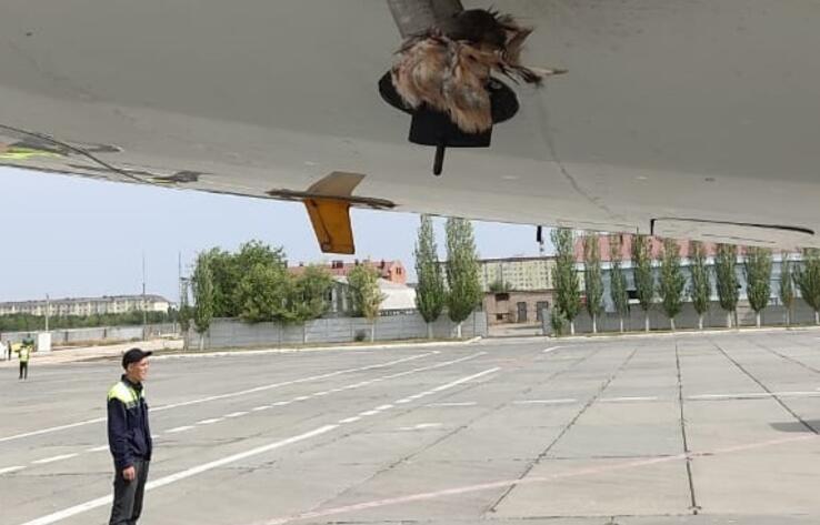 Второй за день рейс из Актобе задержали из-за столкновения птицы с самолетом 