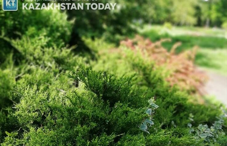 В большинстве регионов Казахстана ожидается жаркая погода