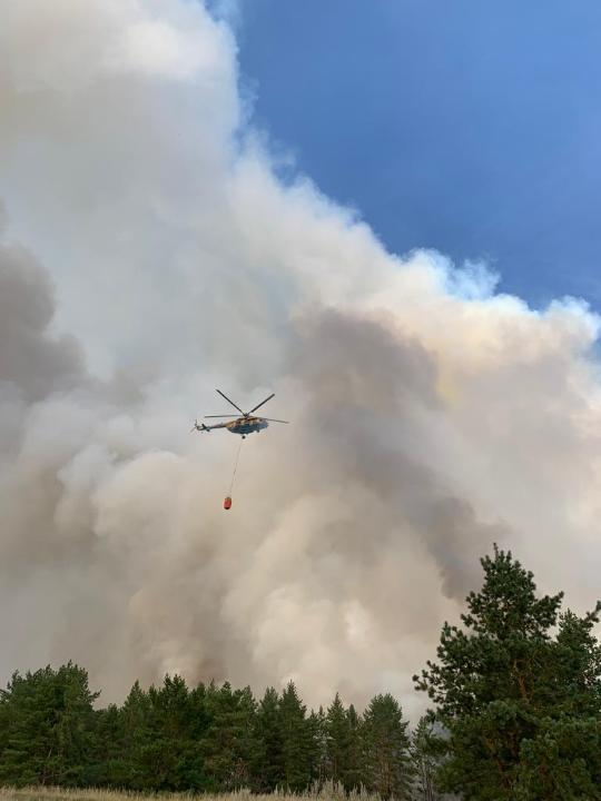 Пожары в Костанайской области. Фото: МЧС РК