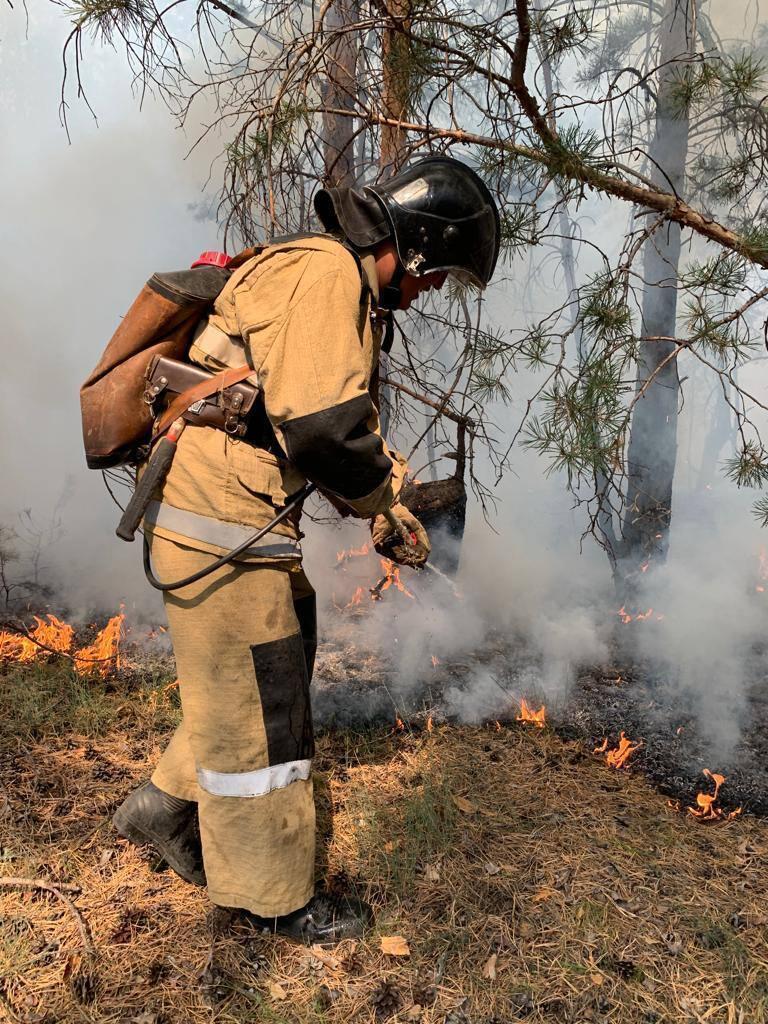 Пожары в Костанайской области. Фото: МЧС РК