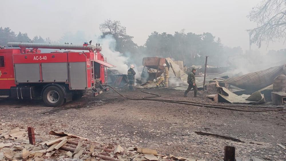 Минсельхоз: пожары в Костанайской области не отразятся на продовольственной безопасности страны