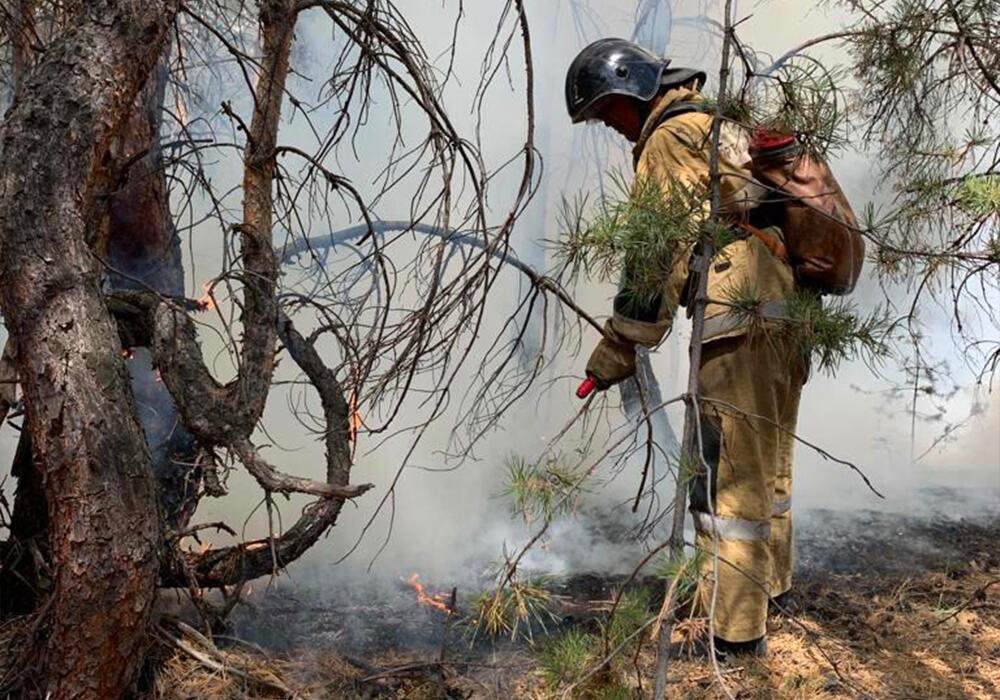 В Костанайской области лесные пожары продолжаются лишь на некоторых участках 