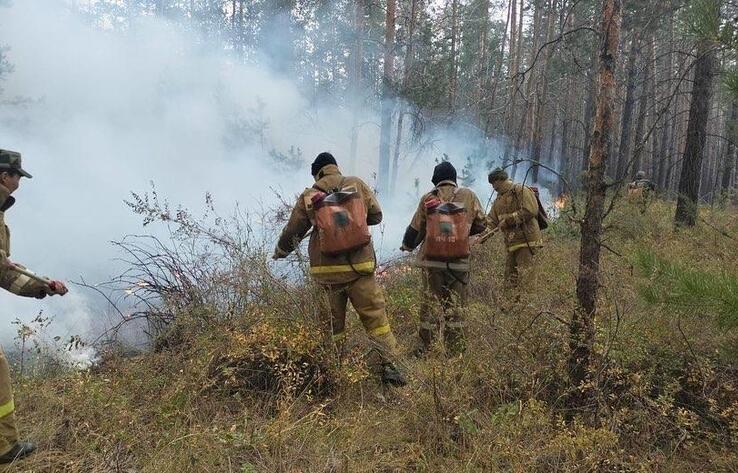 Природный пожар в Костанайской области локализован 