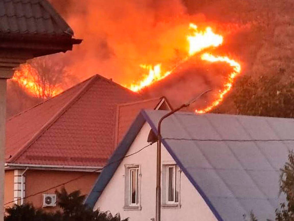 Алматыда тау баурайында ағаштарды өртеген күдікті ұсталды