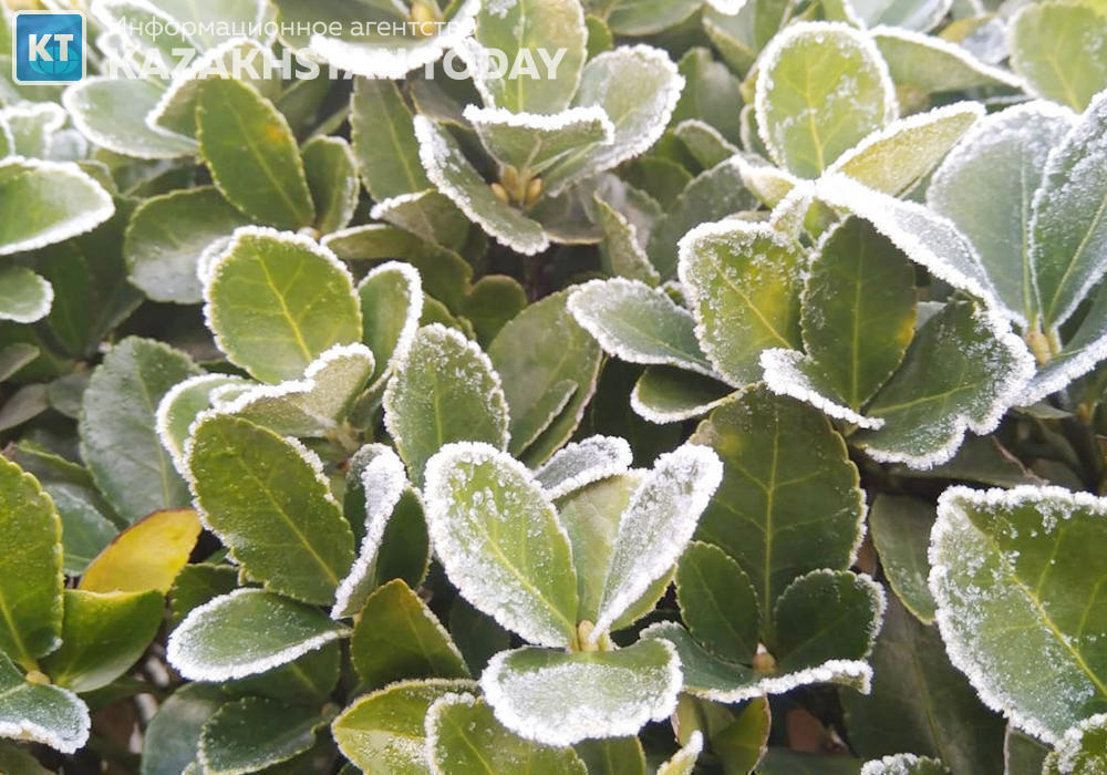 Штормовое предупреждение объявили в четырнадцати областях