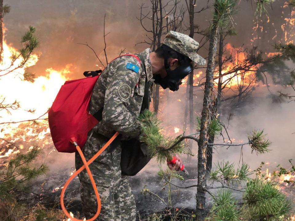 Военнослужащие ВС РК завершили работы по ликвидации пожара в Костанайской области. Фото: МО РК