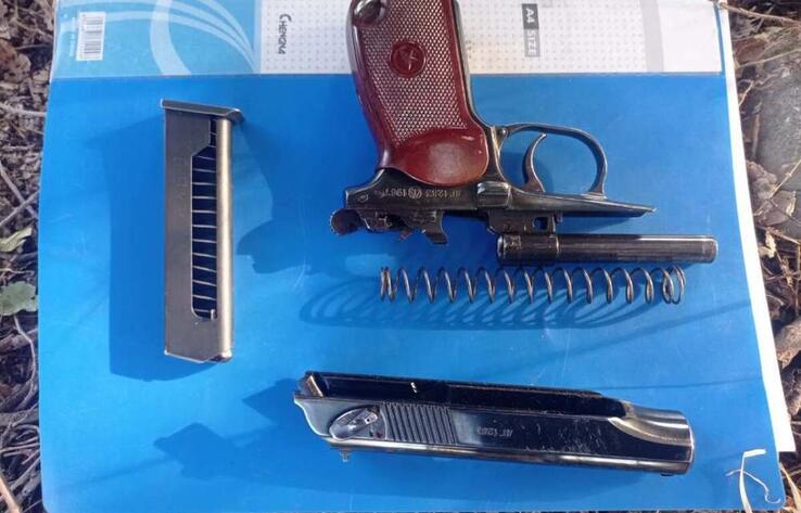 В Алматинской области нашли тайник с похищенным во время январских беспорядков оружием