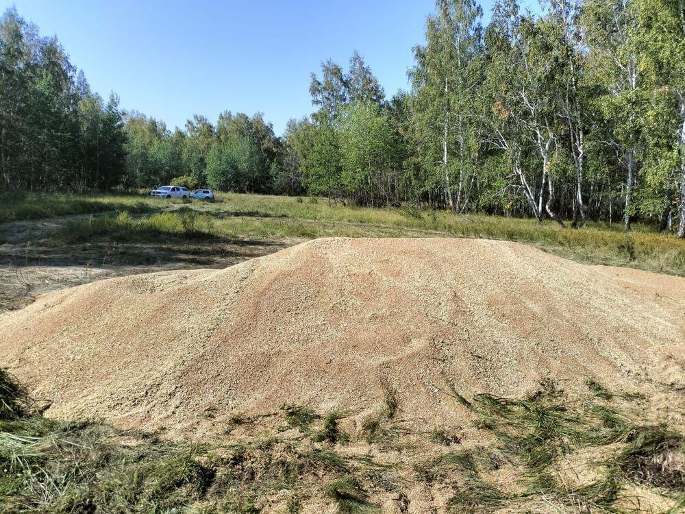 В СКО у фермера пытались украсть 12 тонн зерна. Фото: ПетропавловскNews