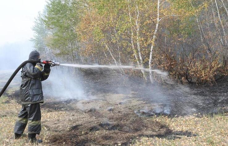 В Карагандинской области ликвидировали очаги природных пожаров 