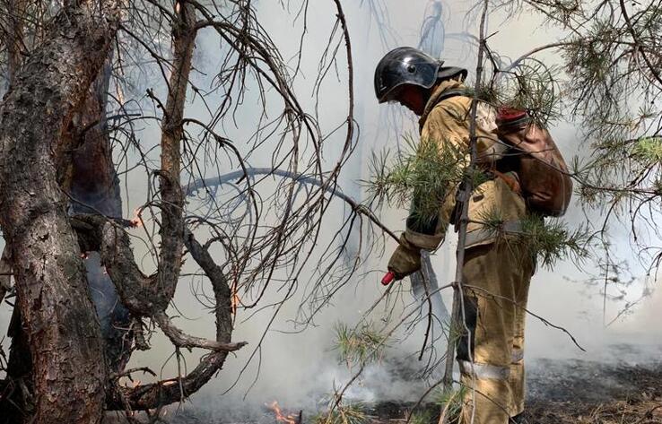 В Костанайской области ликвидировали лесной пожар, начавшийся 2 сентября 