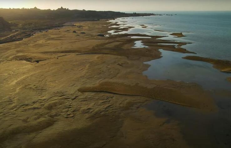 Экологтар Каспийге Арал теңізінің тағдырын болжап отыр