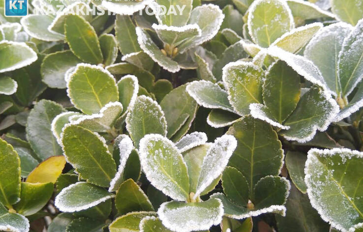 Штормовое предупреждение объявили в тринадцати областях