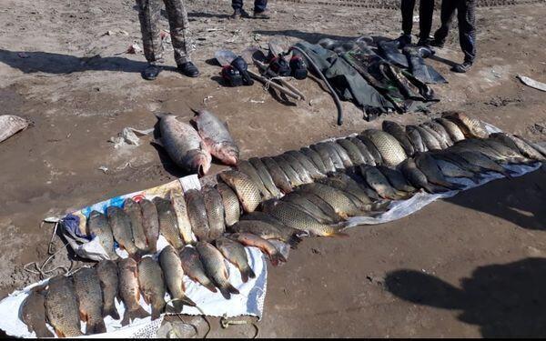 Около ста килограммов рыбы изъяли у браконьеров в ЮКО