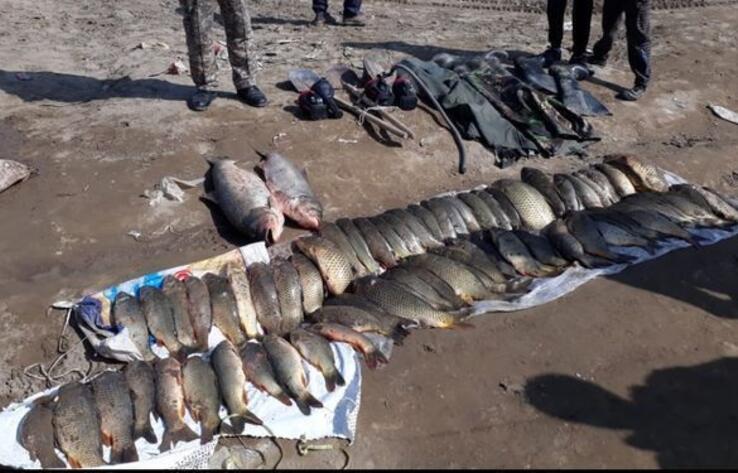 Около ста килограммов рыбы изъяли у браконьеров в ЮКО