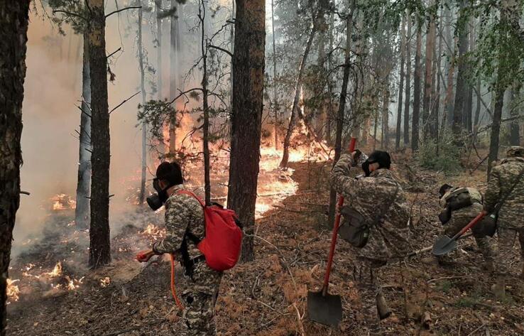 Лесные пожары в Костанайской области: признаков диверсии не установлено